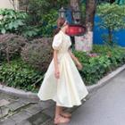 Plain Button-up Oversize A-line Dress