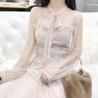 Lace Panel Mesh Long-sleeve Slim-fit Top / Mesh Skirt