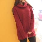 Turtle-neck Loose-fit Long Sweater