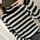 Long Sleeve Turtle Neck Striped Sweater