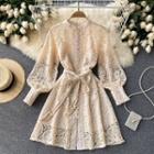 Stand-collar Lace Cutout Long-sleeve Dress