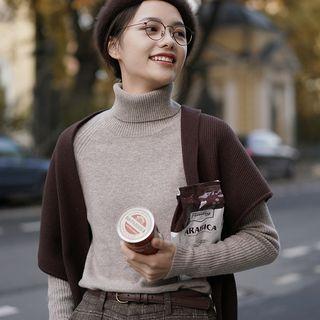 Plain Long-sleeve Turtleneck Knit Top