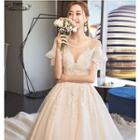 Deep V-neck Lace Embroidered Wedding Ball Gown