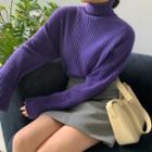Turtleneck Whole-garment Sweater