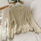 Loose-fit Crew-neck Sheer Lace Blouse