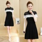 Short-sleeve Lace Panel Collared Dress