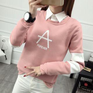 Color Panel Collared Pullover