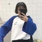 Color-block Print Long-sleeve Loose-fit T-shirt