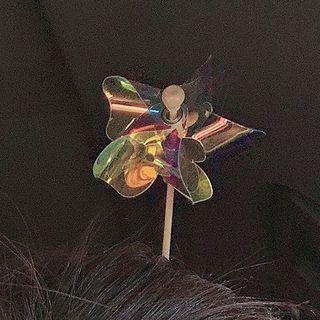 Acrylic Windmill Hair Clip