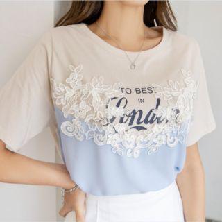 Plus Size T-shirt Panel Lace Chiffon Top
