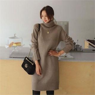 Turtle-neck Rib-knit Sweater Dress