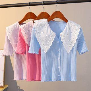Lace Collar Short-sleeve Knit Top