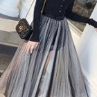 A-line Pleated Midi Sheer Skirt