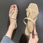 Flat Strappy Toe Loop Sandals
