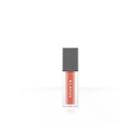 Klavuu - Urban Pearlsation Longwear Moisture Lip Ink (5 Colors) #pale Coral