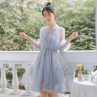 Set: Elbow-sleeve Mesh Dress + Spaghetti Strap Dress