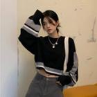 Color Panel Cropped Sweater