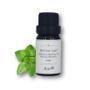 Aster Aroma - Melissa 100% Pure Essential Oil 10ml