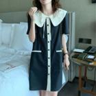 Short Sleeve Peter Pan Collar Contrast Trim Shift Dress