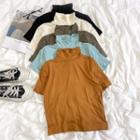 Short-sleeve High-neck Plain Top