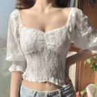 Puff Sleeve Ruffled-trim Ruched Lace Cropped Top