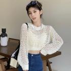 Long-sleeve Crew Neck Pointelle Knit Crop Top
