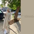 Sherpa Fleece Long Sweatshirt Dress