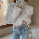 High-neck Long-sleeve Plain Cable Knit Cropped Sweater