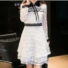 Long-sleeve Frill-trim A-line Lace Dress