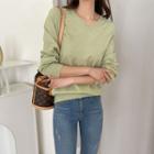 Plain Raglan V-neck Knit Top