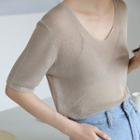 Plain V-neck Sheer Short Sleeve Sweater