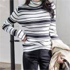 Turtle-neck Stripped Knit Top