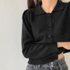 Polo-collar Button-up Sweater