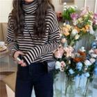 Turtle Neck Long-sleeve Striped Knit Top