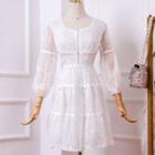 Balloon-sleeve Floral Embroidered A-line Dress