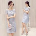 Short-sleeve Crewneck A-line Panel Slim Lace Dress