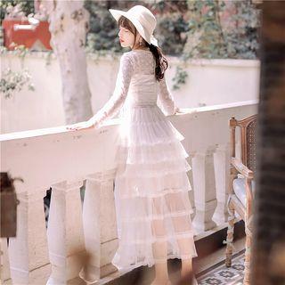 Set: Long Sleeve Tiered Midi Mesh Dress + Slipdress