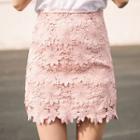 Fitted Lace Skirt