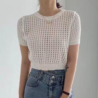 Short Sleeve Round Neck Eyelet Knit Top