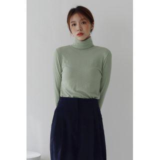 Turtle-neck Fitted Textured Top Light Green - One Size