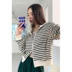 Stand-collar Stripe Zip-up Jacket