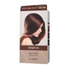 The Saem - Silk Hair Color Cream Gray Hair Cover - 4 Colors #4n Natural Brown