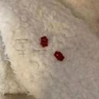 Flocking Flower Earring 1 Pair - 01 - Red - One Size