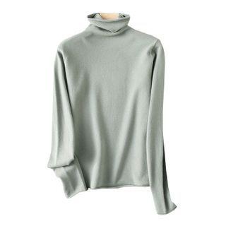 Plain Turtleneck Long-sleeve Blouse