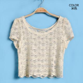 Short-sleeve Cropped Lace Top