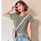 Striped Short-sleeve T-shirt Stripes - Ash Green - One Size