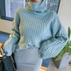 Turtleneck Wide-sleeve Ribbed Sweater