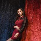 Collared Contrast Mesh-panel Dress