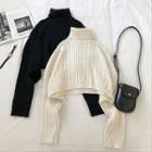 Plain Turtle-neck Cable-knit Long-sleeve Sweater