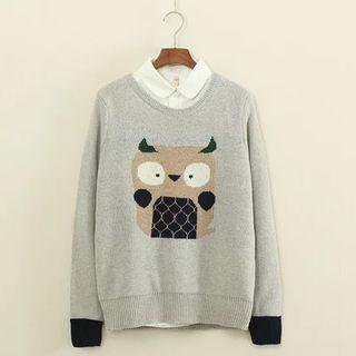 Owl Sweater